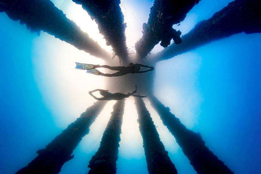 The Pillars Of Life - Underwater Fine Art Photography - David Lee Jamaica